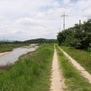 남천제방길 이미지