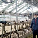 평남목장 이미지