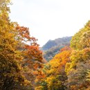 지리산밧데리 이미지