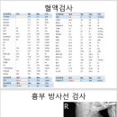 튼튼동물치과병원 이미지