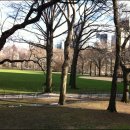 마산종합운동장 축구장 이미지