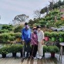 화수목 농원 이미지