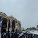 주식회사 댕아일랜드 | [일본/도쿄] 5월 봄🌸 3박 4일 여행(2) - 디즈니랜드, 닌교초 이마한 긴자점 후기