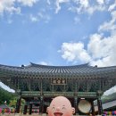 GS25늘푸른 | 2026 속리산 법주사 입장료 주차 정보, 유네스코 세계문화유산 문화재 부처님오신날 관람 방문 후기
