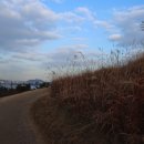 배곧생명공원 이미지