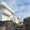 오후애월 | 제주 애월 한림 토투가 펜션 : 단체 숙소 에어비앤비 솔직 후기