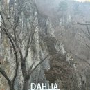 달리아커피 단장면 이미지