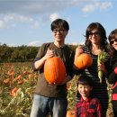 윤상농장 이미지