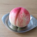 성화농장 이미지