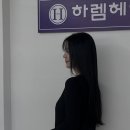하렘