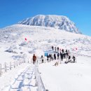 [신청 마감] 환상적인 제주 한라산 눈꽃산행과 럭셔리한 제주 관광 기획산행! 2026년 01월 03일~04일 [토,일요일] 이미지