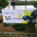부지런한함평아재네꾸러미 | 건강한 간식 함평 아재네 유기농 미니 밤호박 단호박요리