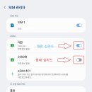 이심