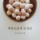 신선한순흥
