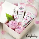 레이디폼 이미지