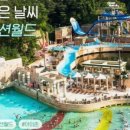 선비태권도 이미지