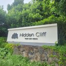 제주542펜션 | 제주중문 마사지 펠리체 아로마 방문 후기 – 제주감귤아로마케어로 힐링과 피로회복의 시간