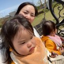 정자문화공원 | 아이와 걷기 딱! 포항 일월문화공원 연못 산책코스 추천🌿