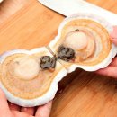 가리비세상 이미지