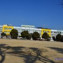 현풍초등학교 Daum카페