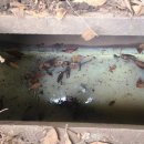 수역이길 이미지