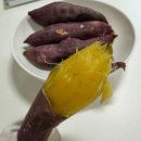 호꿀이네 네이버블로그