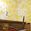 우리들의 음악학원 이미지