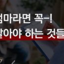 맛디아 이미지