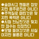 헌법재판소의 개소리~ 이미지