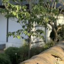 중장하녹 이미지