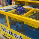 홍도회수산