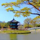 향원정 - 마포구 양화로7길 28 | 향원정