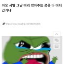 주변 미용실이 예약제밖에 없어서 빡친 사람.jpg 이미지