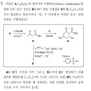 2023B 7번 유기 질문 이미지