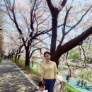 세화네