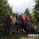 동정농장 이미지