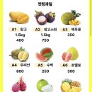 더망고 | [세부 맛집 골드망고 레스토랑, 과일가게 더달다 후기] 세부 여행 1일차 (3)