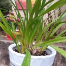 봉수면사무소 이미지