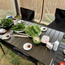 도그팰리스 이미지