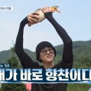 청춘어부