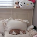 지훈카센타 네이버블로그