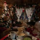 트리하우스 | 의왕 크리스마스 카페 더가드너 트리하우스 방문 후기