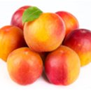 플럼마트 이미지