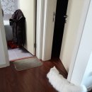 쫄랭쫄랭 이미지