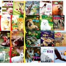 애니멀 하우스 이미지