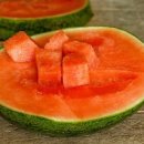 대한종합기업 이미지