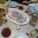 목욕하는고양이 이미지