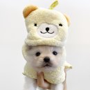 패밀리독 이미지