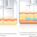 다올메드 이미지