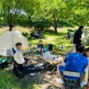 운문댐하류보5 이미지